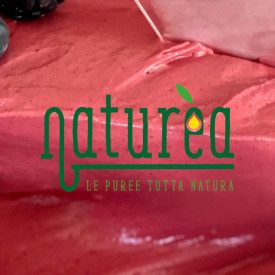 NATUREA - PUREA DI FRUTTI DI BOSCO KG.1 Elenka | busta da 1 kg. | Naturèa Frutti di Bosco è una purea di frutta al 100%, perfett