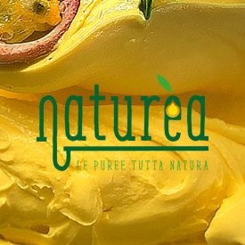 NATUREA - PASSSION FRUIT PUREE - Kg. 1 | Elenka | Pack: bag of 1 kg.; Product family: flavoring pastes | Naturèa Passion Fruit i