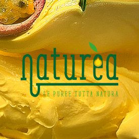 Acquista NATUREA - PUREA DI PASSION FRUIT KG.1 | Elenka | busta da 1 kg. | Naturèa Passion Fruit è una purea di frutta al 100%, 