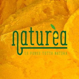 NATUREA - PUREA DI MANGO KG.1 Elenka | busta da 1 kg. | Naturèa Mango è una purea di frutta al 100%, perfetta se abbinata alle p