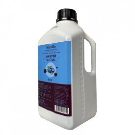 BUBBLE TEA - SCIROPPO MIRTILLO - 2 lt. | Seng Corporation  | bottiglia da 2 l. | Sciroppo aromatizzante concentrato per Bubble T