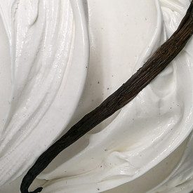 WHITE VANILLA PASTE FOR ICE CREAM 3 KG. - BIGATTON | Bigatton | bucket of 3 kg. | Vanilla paste with a light color, natural flav