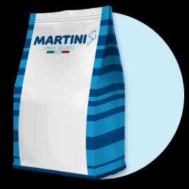 MASCARPONE 30 (IN POLVERE) - MARTINI LINEA GELATO Martini Gelato | sacchetti da 1 kg. | Mix in polvere per conferire al gelato u