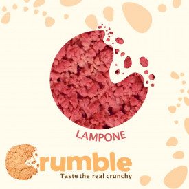 CREAMY RASPBERRY CRUMBLE | Rubicone | Certifications: gluten free; Pack: box of 8 kg. - 2 buckets of 4 kg.; Product family: crum