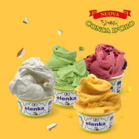 CONCA D'ORO MANGO - BASE GELATO ELENKA | Elenka | Confezione: sacchetti da 1,5 kg.; Tipo di prodotto: basi e neutri | Base compl