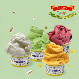 CONCA D'ORO LIME - BASE GELATO ELENKA | Elenka | Confezione: sacchetti da 1,5 kg.; Tipo di prodotto: basi e neutri | Base comple