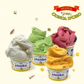 CONCA D'ORO COCONUT - ICE CREAM BASE ELENKA | Elenka | Pack: bags of 1.5 kg.; Product family: ice cream bases | Complete base to