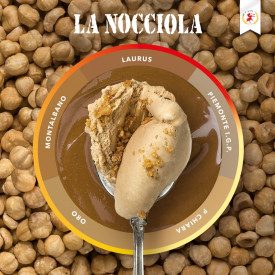 MONTALBANO HAZELNUT PASTE ELENKA | Elenka | Pack: bucket of 5.5 kg.; Product family: nut pastes | Pure hazelnut paste, prepared 