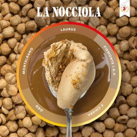 MONTALBANO HAZELNUT PASTE ELENKA | Elenka | bucket of 5.5 kg. | Pure hazelnut paste, prepared with Sicilian hazelnuts, excellent