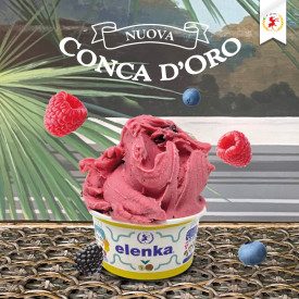 CONCA D'ORO WILD BERRIES - ICE CREAM BASE ELENKA | Elenka | Pack: bags of 1.5 kg.; Product family: ice cream bases | Complete ba