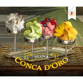 CONCA D'ORO MANGO - BASE GELATO ELENKA | Elenka | sacchetti da 1,5 kg. | Base completa per realizzare squisiti gelati e granite 