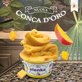 CONCA D'ORO MANGO - ICE CREAM BASE ELENKA | Elenka | Pack: bags of 1.5 kg.; Product family: ice cream bases | Complete base to m