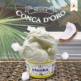 CONCA D'ORO COCONUT - ICE CREAM BASE ELENKA | Elenka | bags of 1.5 kg. | Complete base to make delicious sorbets and slushes. Co