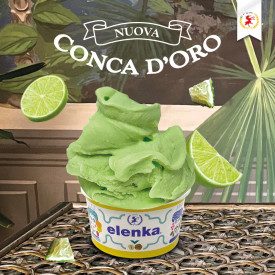 CONCA D'ORO LIME - ICE CREAM BASE ELENKA | Elenka | Pack: bags of 1.5 kg.; Product family: ice cream bases | Complete base to ma