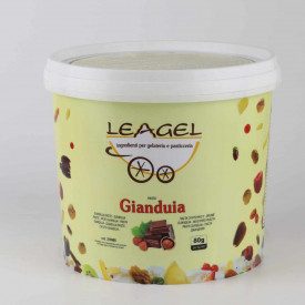 Acquista PASTA GIANDUIA | Leagel | secchiello da 3,5 kg. | Pasta a base di cacao e nocciole per gelato al Gianduia.