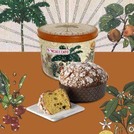 PA'NCUCCIATO 2024 - TRADITIONAL ITALIAN PANETTONE FROM SICILY | Nino Total Food | Pack: panettone of 1 kg; Product family: pastr