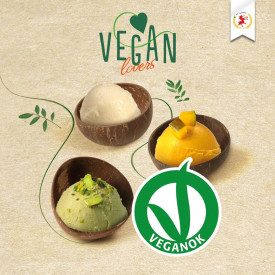 VEGAN LOVERS ICE CREAM BASE ELENKA - 1 KG. | Elenka | Certifications: gluten free, dairy free, vegan; Pack: bag of 1 kg.; Produc