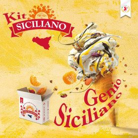 IL SICILIANO KIT GELATO GUSTO SPECIALE 'SICILIANO'' - ELENKA | Elenka | Confezione: box completo; Tipo di prodotto: kit gelato c