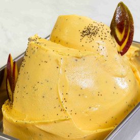 MANGO PEACH AND CHIA SEEDS FRUITY & VEGGY READY BASE - 1.25 KG. LEAGEL ICE CREAM BASE | bag of 1,25 kg. | The new sorbet of the 