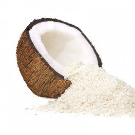 Buy online COCONUT FLOUR Rubicone | box of 6 kg. - 4 bags of 1.5 kg. | Dried coconut flakes for enriching Gelato tubs, Soft-serv